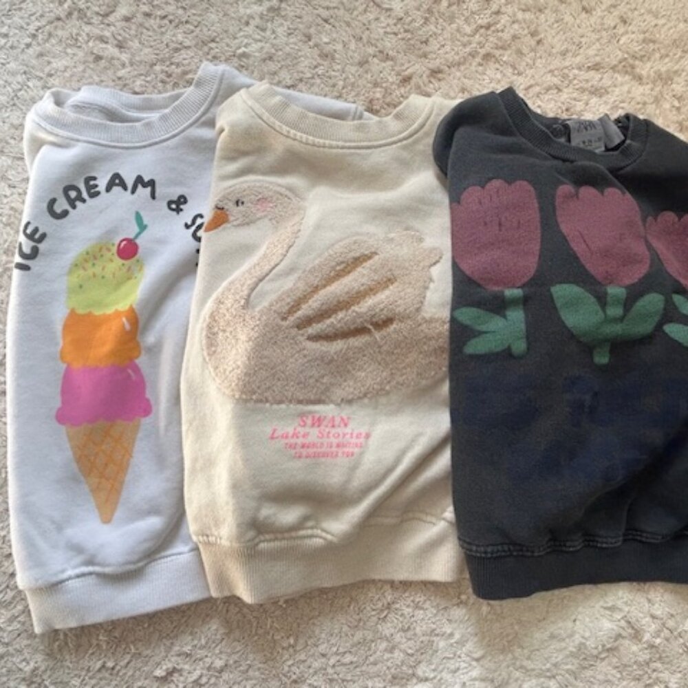 Zara Toddler Sweatshirt Bundle 18-24M 2T 3T Tulip Swan Ice Cream EUC Cozy